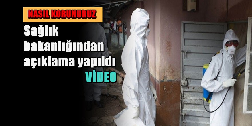 Kıbrıs'ta ' Domuz Gribi ' Paniği; Ölü Sayısı Yükseliyor