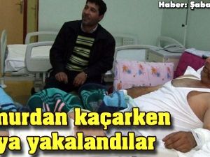 Yağmurdan kaçarken ayıya yakalandılar