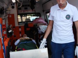 Kadıköy'de Can Pazarı