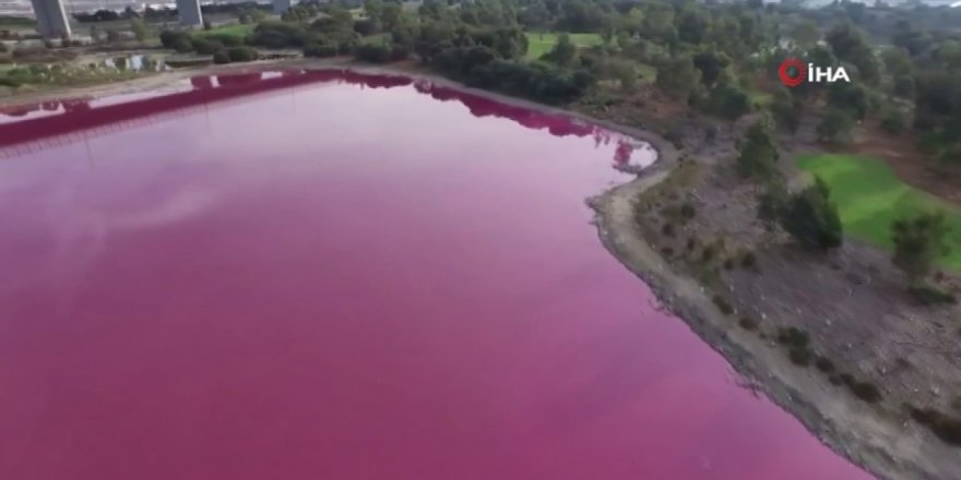 Avustralya’da Pembeye Bürünen Göl
