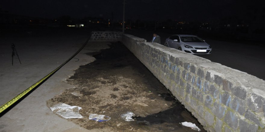 Şanlıurfa'da Gübre Çukuru Faciası; 3 Yaşında Çocuk Öldü