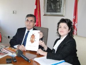 Böceğe "Sütçü İmam" Adı Verdiler, İmamlar Ayağa Kalktı