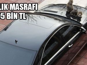 Sadece araç masrafları 195 bin TL