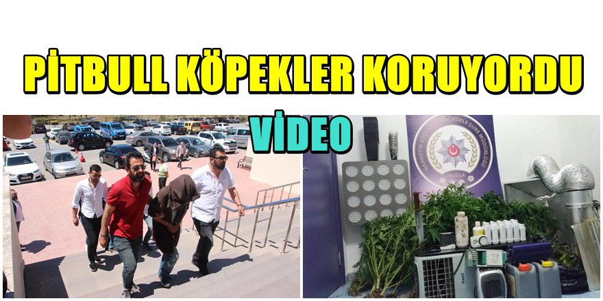 Bodrum'da Lüks Villaya Uyuşturucu baskını