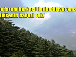 Suyun ardından sıra ormanların özelleşmesinde mi?