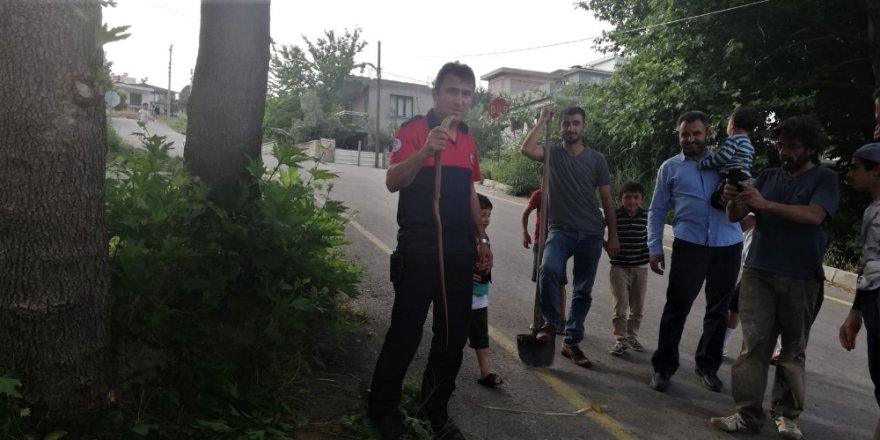 Denizli'de Kuş Kafesinde Yılan Yakalandı