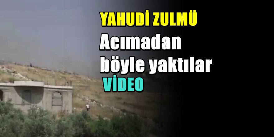 Yahudilerin Filistinlilere Bu Gün Uyguladığı Dehşet kamerada