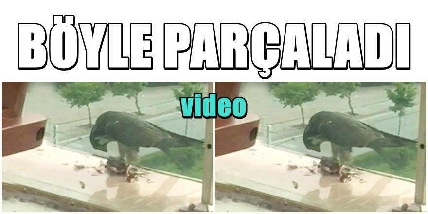 Kayseri Küçük Çocuğun çektiği Bu görüntüleri Konuşuyor