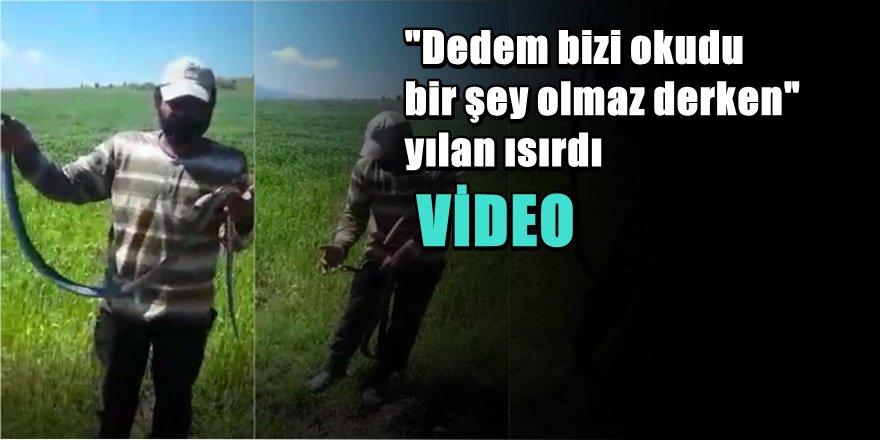 Elazığ'da Yakaladığı Yılan Tarafından Isırılan Çoban Kamerada