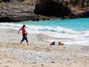 Sosyal Medya Bu Köpeği Konuşuyor