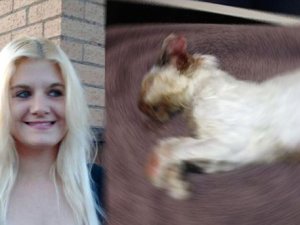 Korkunç olay! Zavallı kediyi fırında pişirdi!