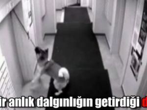 Bir anlık dalgınlığın getirdiği dehşet!