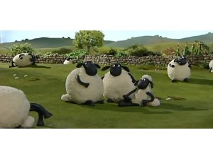 TÜRKİYE'DE KOYUN SAYISI 30 MİLYONA DAYANDI