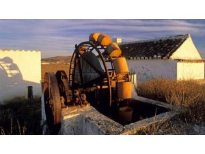 SEKS YAPARKEN KUYUYA DÜŞTÜ