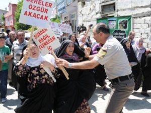 Köylülerin İsyanı