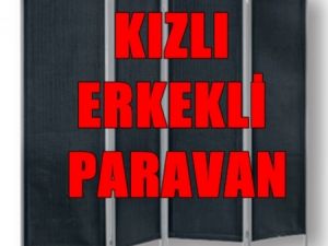 Kızlı Erkekli de Paravanlı Dönem