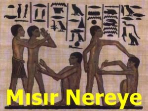 Türkiye Mısır'ın geleceğinden kaygılı