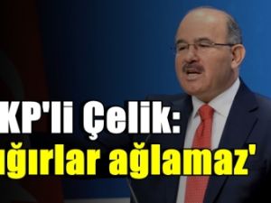 AKP'li Çelik: 'Sığırlar ağlamaz'
