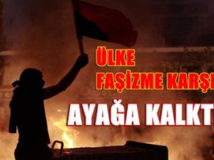 Faşizme Karşı Ayağa kalktılar