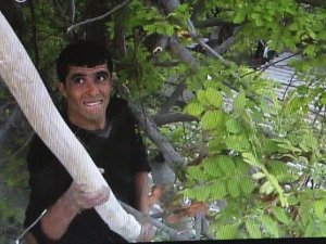 MOBESE KAMERASINI KIRAN SURİYELİ TUTUKLANDI