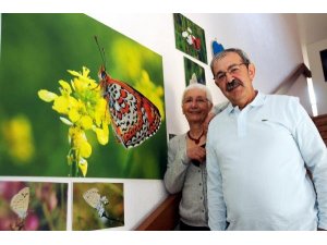 ANTALYA KELEBEK CENNETİ