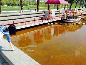 İZMİT'TE DENİZİN RENGİ KOYU KAHVE OLDU