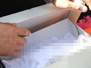 AYAKKABI KUTUSUNDAN BEBEK CESEDİ ÇIKTI