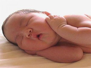 CANLI DOĞAN BEBEK SAYISI GERİLEDİ