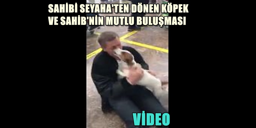 SAHİBİ'Nİ BEKLEYEN KÖPEKLE MUTLULUĞU