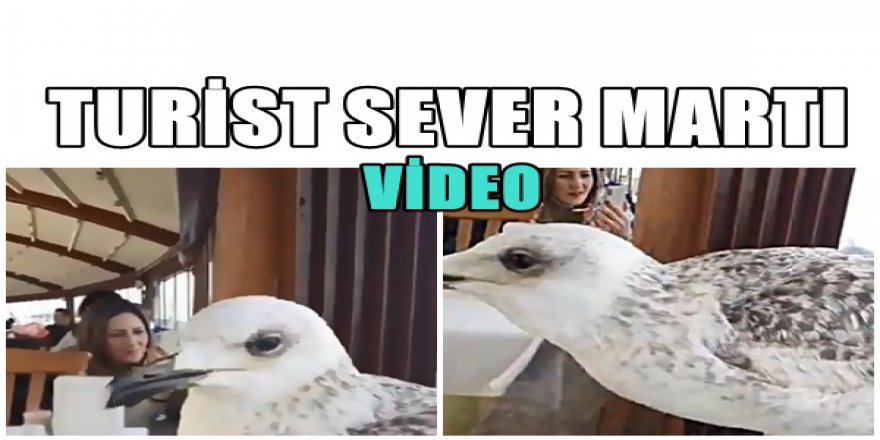 BÖYLE YİYECEK İSTEDİ