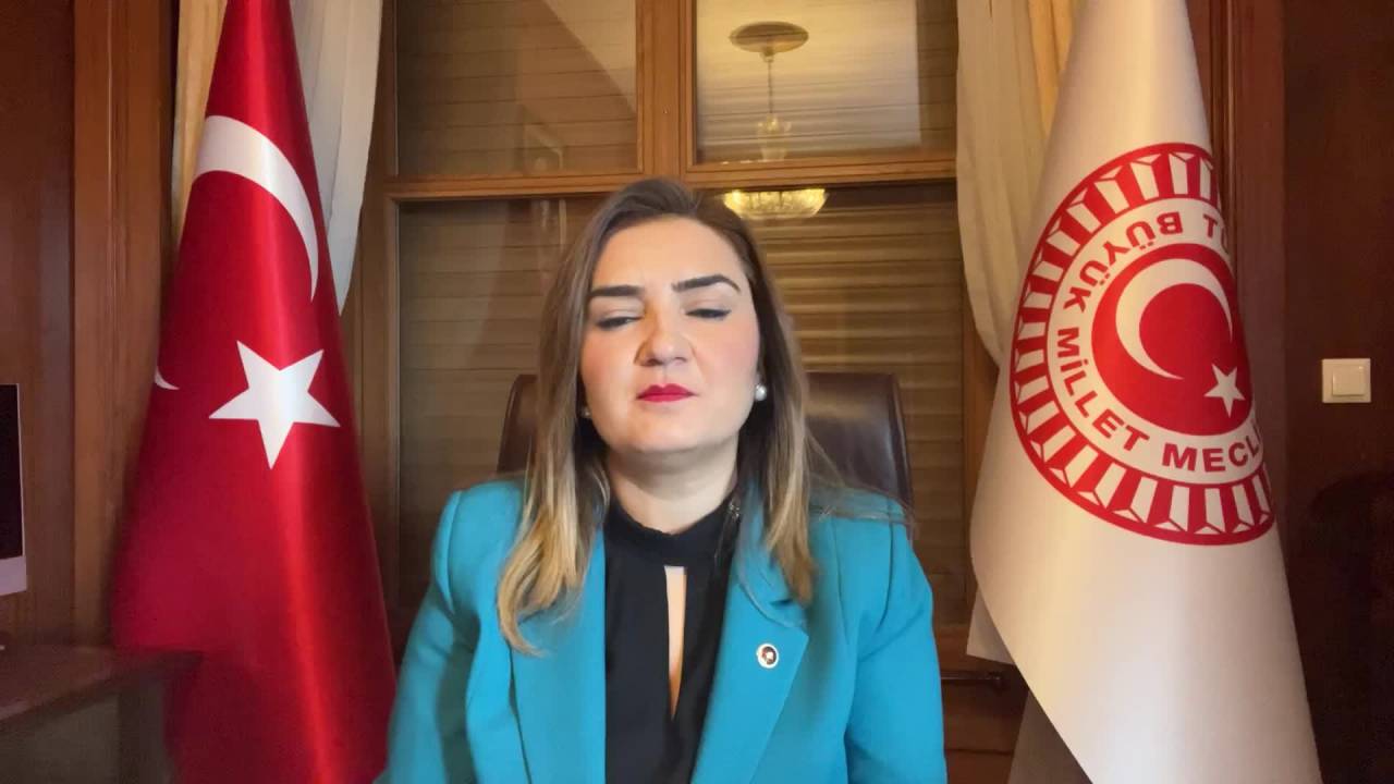 Sevda Erdan Kılıç: Havelsan'da Liyakatli Uzman Mühendisler Baskı Ve Şantajla İşten Çıkarılıyor