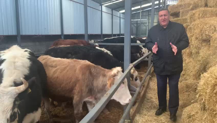 Ömer Fethi Gürer: Sütte Yaşanan Sorunlar Yakında Ette De Yaşanacak