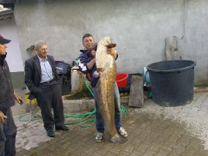 DAHA ÖNCE BÖYLE BÜYÜK BALIK GÖRÜLMEDİ