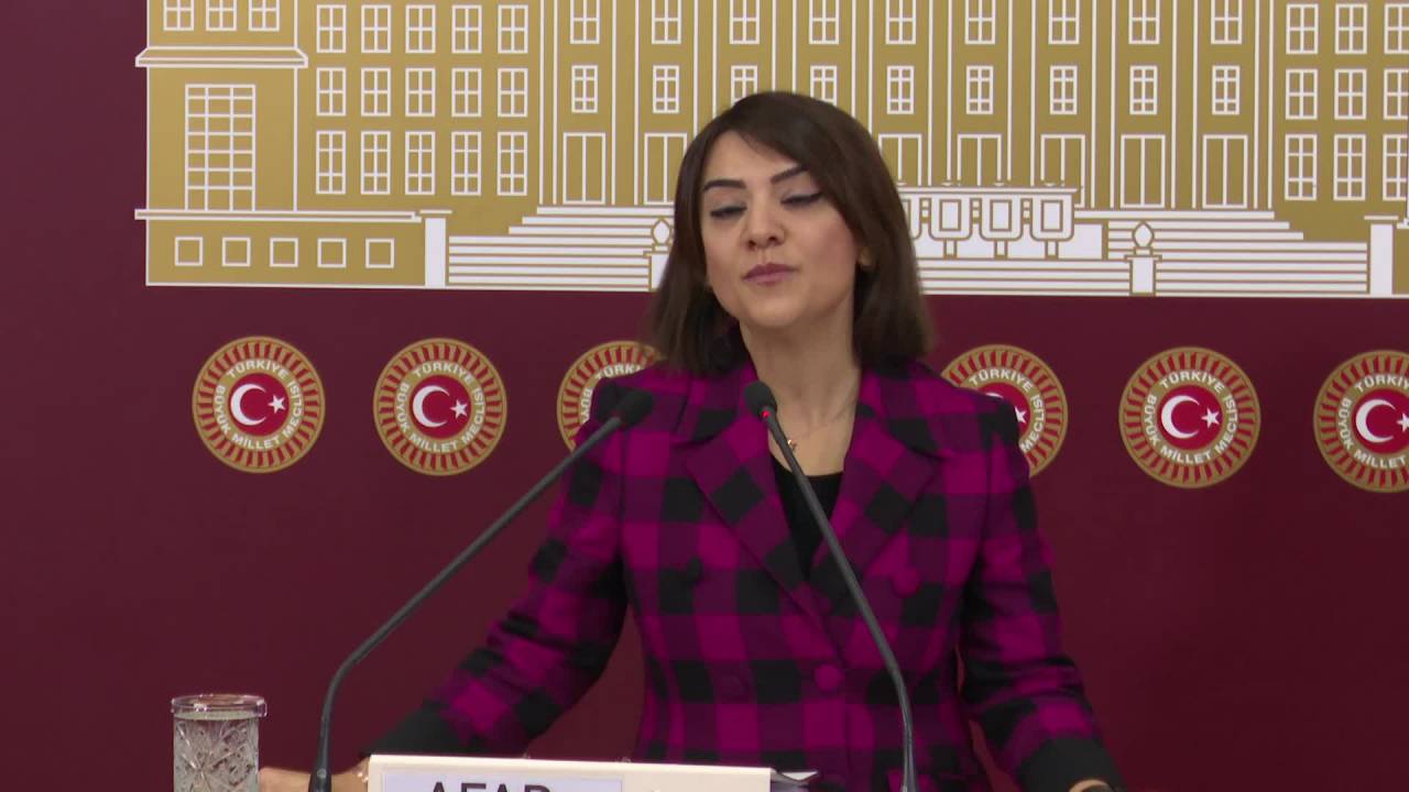 Gamze Taşcıer: "afad Recep Tayyip Erdoğan'ın İkinciörtülüödeneğidir"