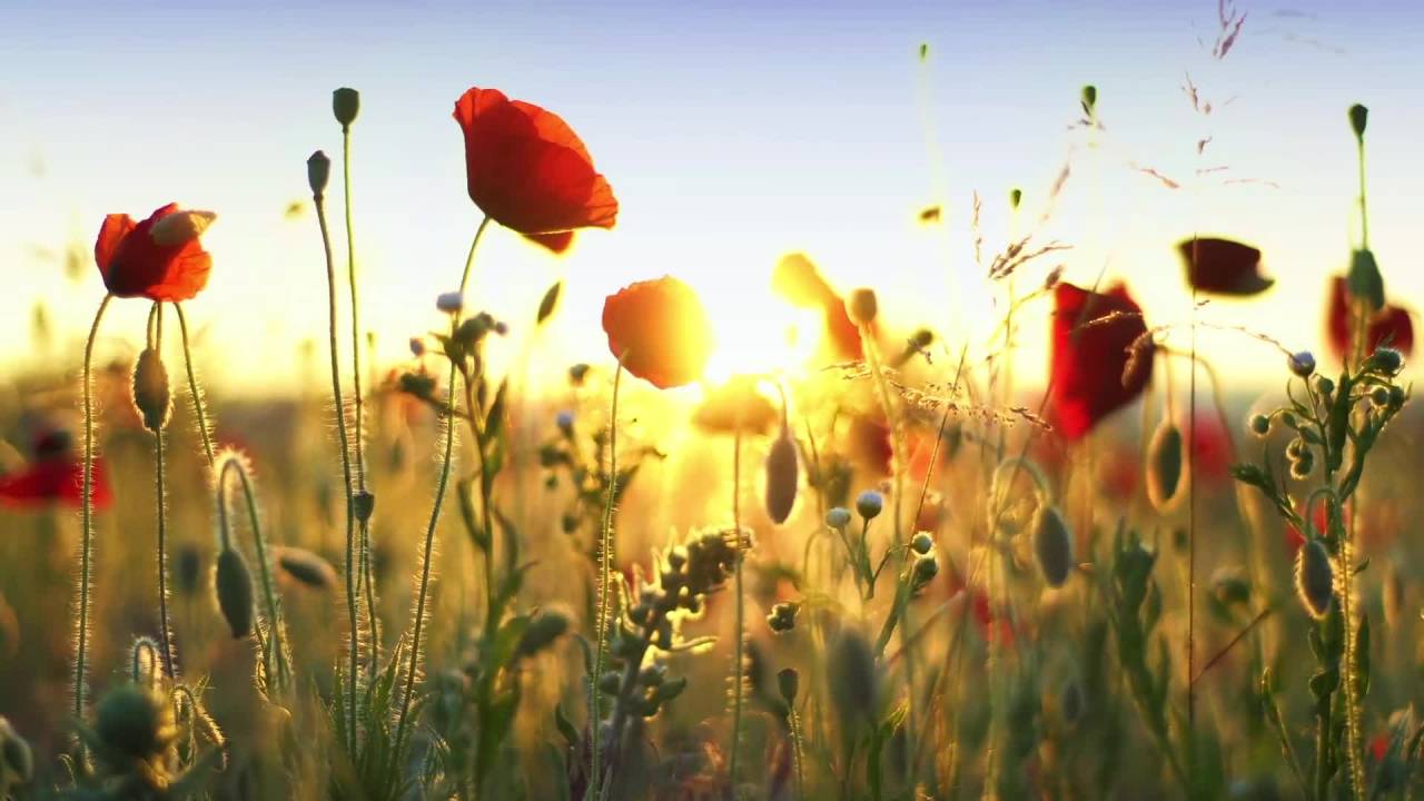 Karamollaoğlu: Mayıs’ta İklim Değişecek