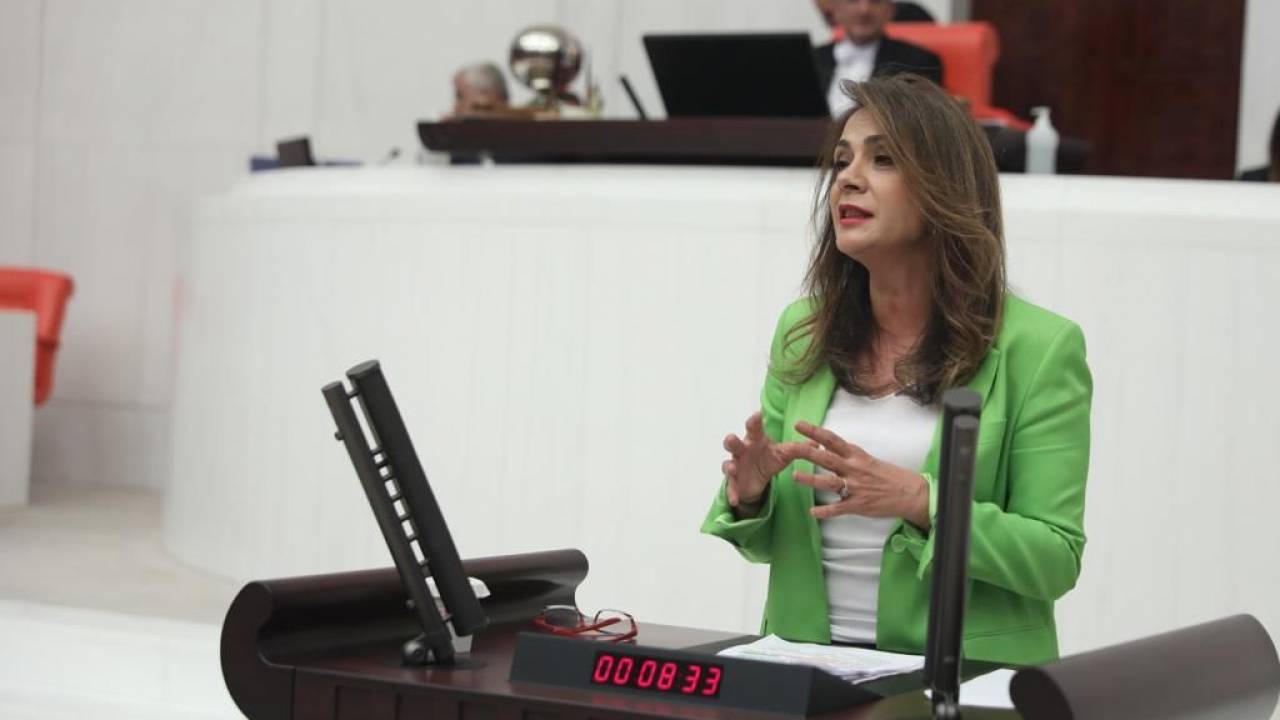 Gamze Akkuşilgezdi: "yasal Hakkım Olan Bilgi Edinme Talebimin Cevaplanması Mahkeme Nezdinde De Tescillendi"