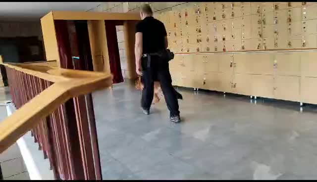 Erdoğan’ın Yemin Töreniöncesinde Tbmm’de Güvenlik Önlemleri