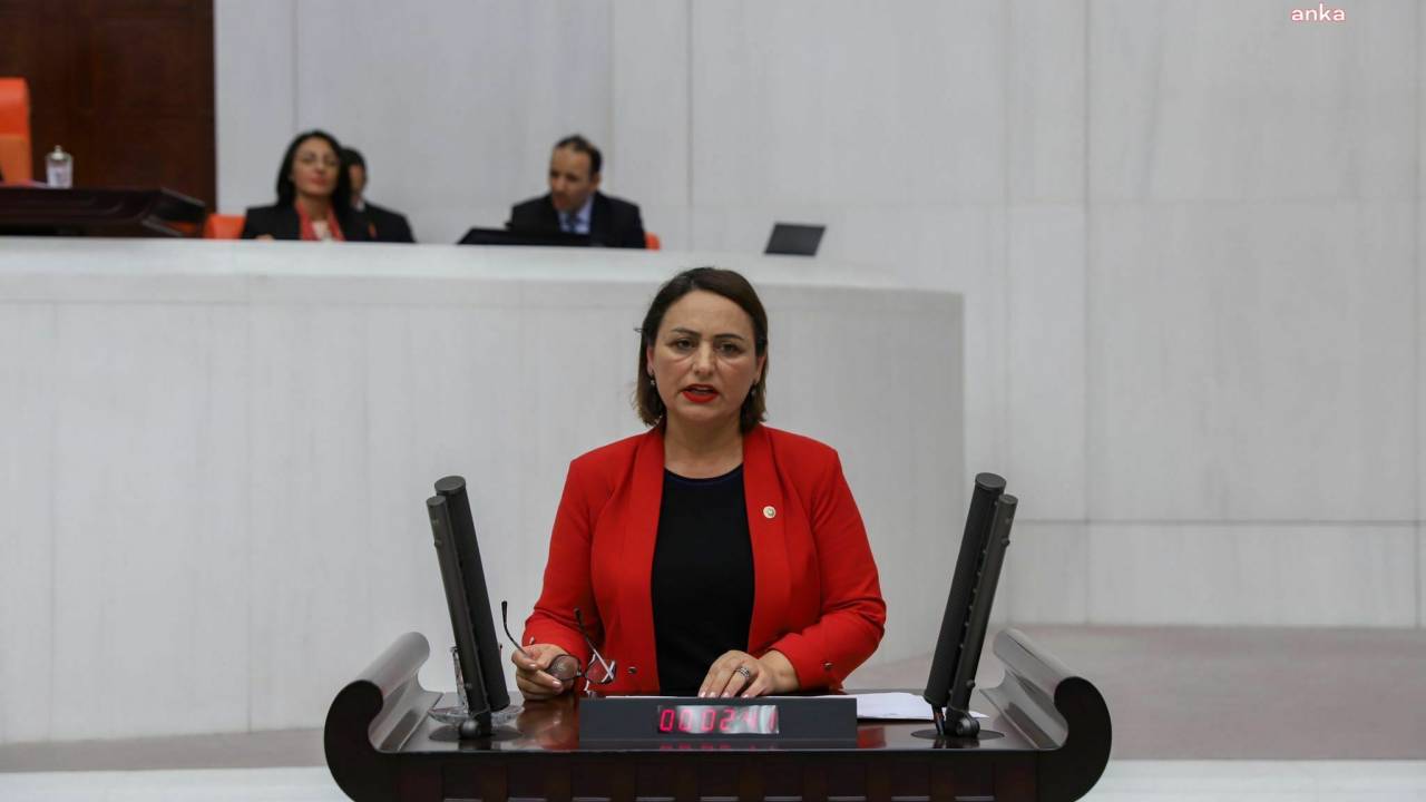 Müzeyyen Şevkin: “türkiye’de 9 Bine Yakın Verem Hastası Bulunuyor”