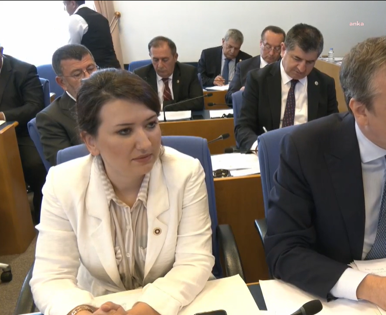 Chp’li Gökçen, Ek Bütçe Görüşmelerinde: “torba Yasa İle Bir Bütçe Yapılıyor, Anayasaya Aykırı”