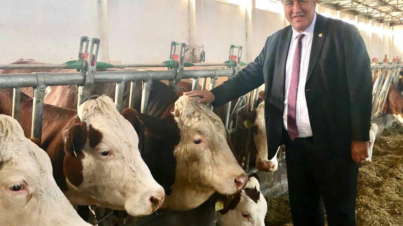 Ömer Fethi Gürer: “yem Fiyatındaki Artış Durmadıkça Süt Fiyatı Artar”