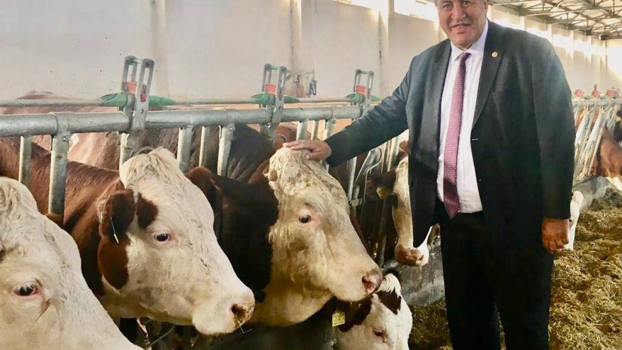 Chp’liömer Fethi Gürer Veteriner Hekimlerin Hakları İçin Kanun Teklifi Verdi