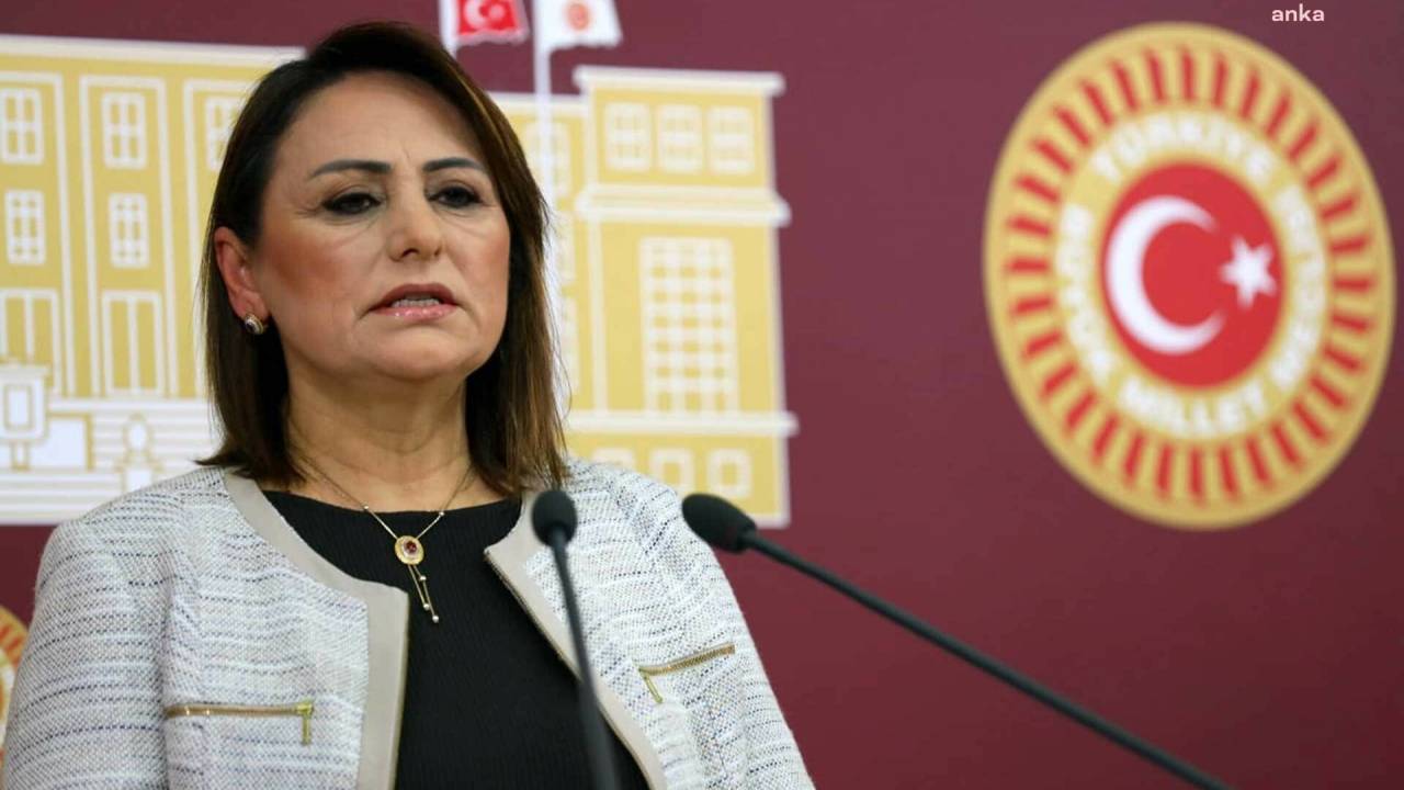 Müzeyyen Şevkin, Orman Bakanı Yumaklı’ya “seyreltme” Adı Altında “ağaç Katliamı" Yapıldığı İddialarını Sordu