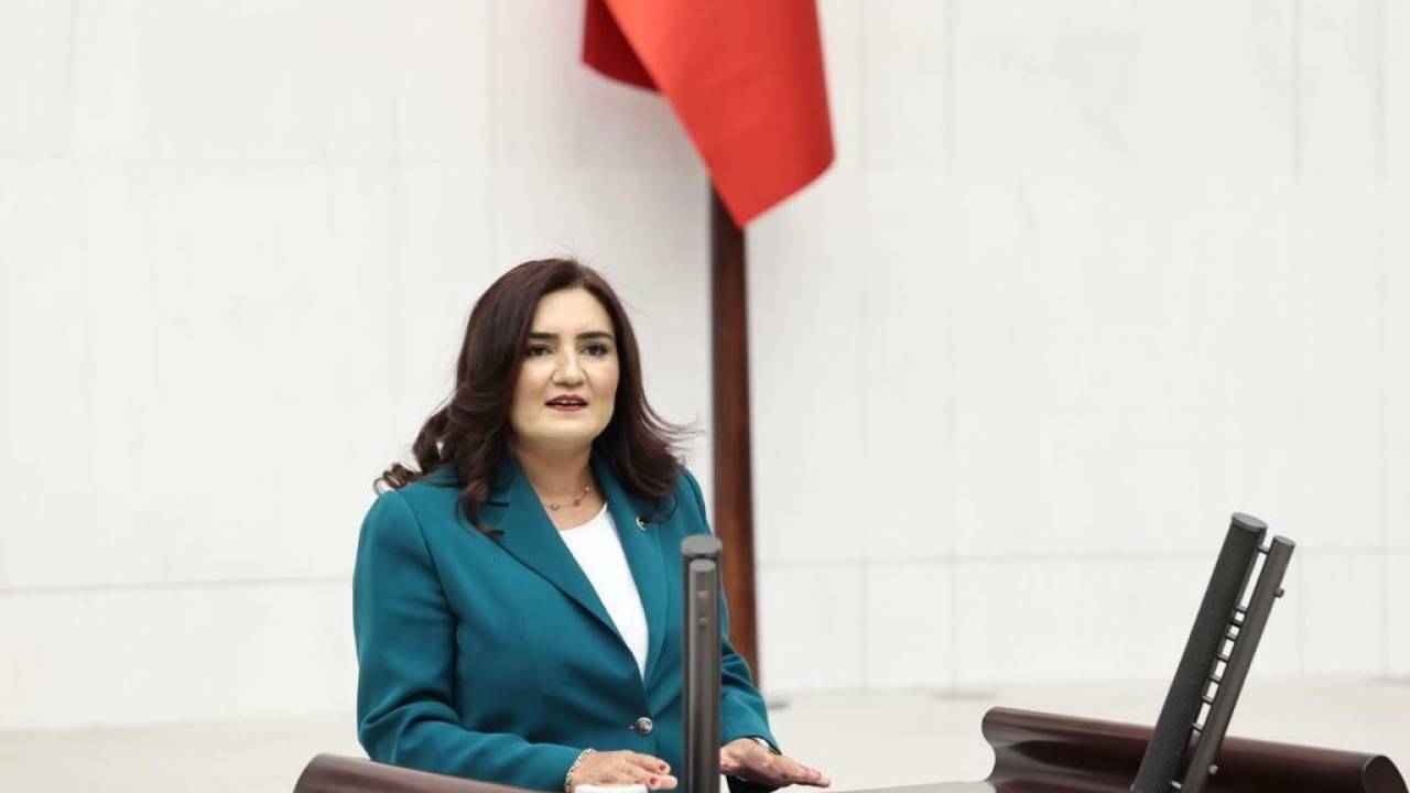 Chp’li Sevda Erdan Kılıç, Kayıp Genci Tbmm Gündemine Taşıdı: “veli Eren Atay Nerede?”