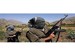 PKK'NIN KAÇIRMA OLAYINDA FLAŞ GELİŞME