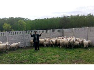 SAHTE PARA İLE BÖYLE DOLANDIRIYORLAR