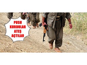 BİNGÖL SALDIRISININ GÖRÜNTÜLERİ ORTAYA ÇIKTI