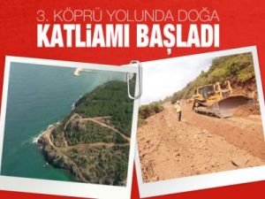 3. Köprü Yapımındaki Ağaç Katliamının Belgesi