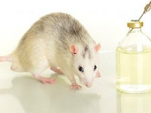 YAPAY DERİ GELİŞTİRİLDİ