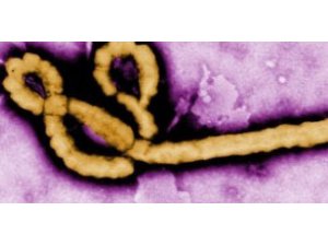 BU ÜLKELERE GİDENLER DİKKAT!