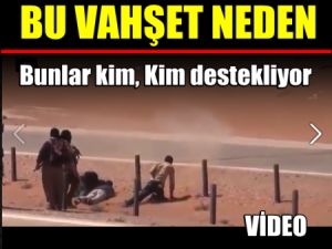 Bu Vahşet neden? Bunlar Kim? Sonu Nereye Varacak ?